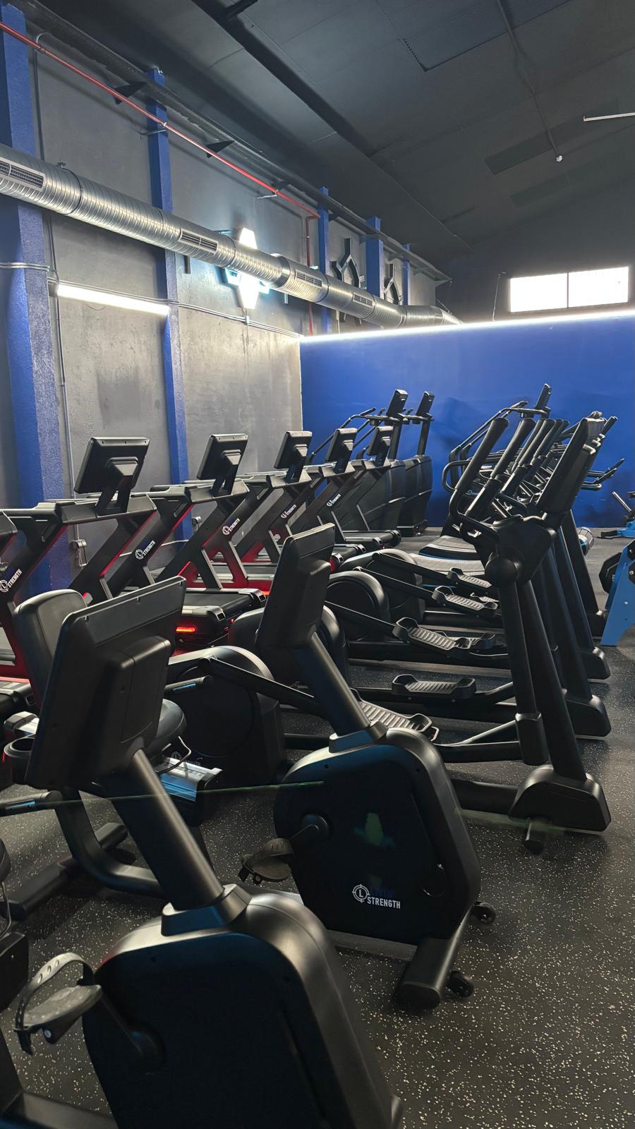 Zona de cardio Livin Strength
